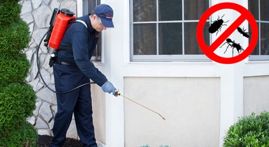Boyalık Sivrisinek İlaçlama böcek ilaçlama ve haşere kontrolü — ilaclama-tr.com
